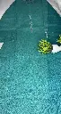 IMG_0230[1].webp