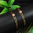 ZTJ73 Stylish Golden Bangles (1 Pair)