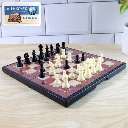 ZTKB34 Foldable Magnetic Chess Board Game Set (24 x 24 Cm)