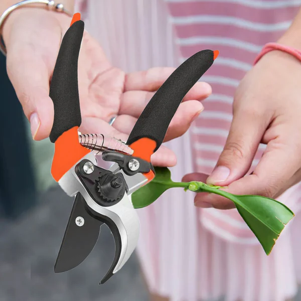 ZTG2 Garden Shears Sharp Cutter Pruners Scissor, Pruner, Flower Cutter